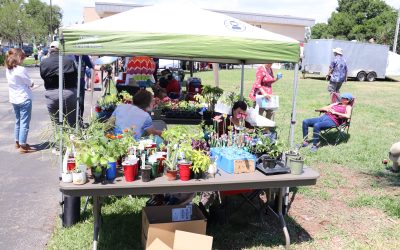 Earth Day at St. Cloud