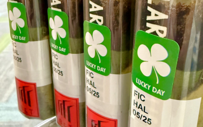 Lucky Day Collection